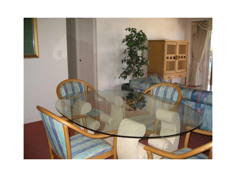 19/7 Elkhorn Avenue, Surfers Paradise QLD 4217