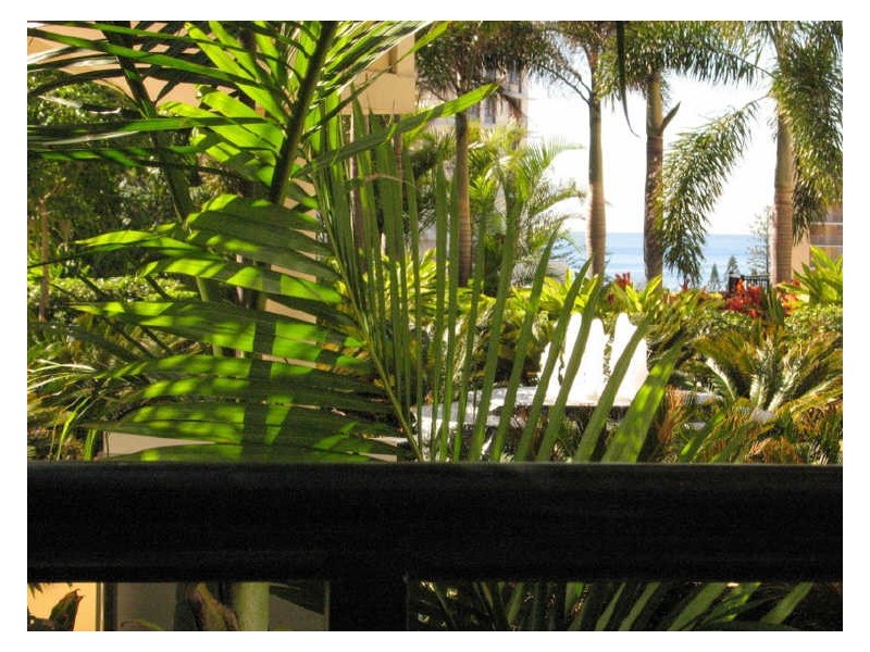 3054/23 Ferny Avenue, Surfers Paradise QLD 4217