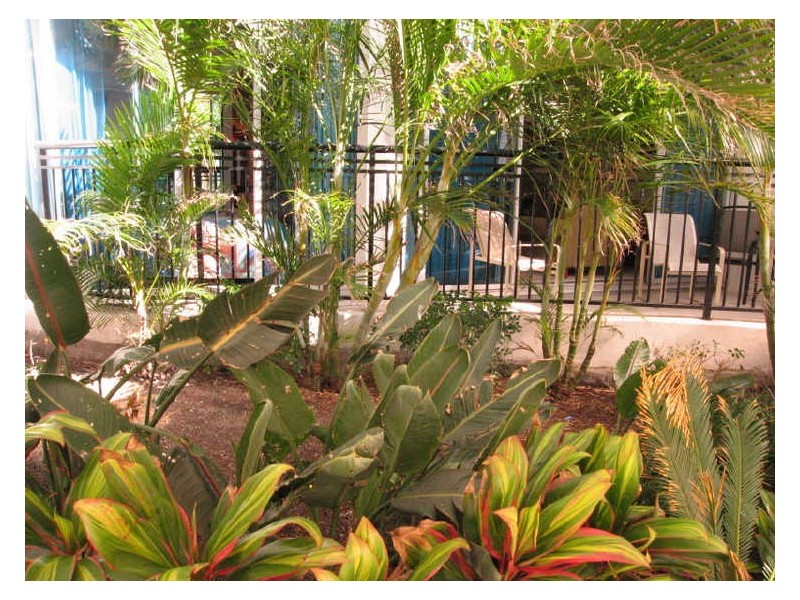 3054/23 Ferny Avenue, Surfers Paradise QLD 4217