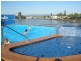 79/2940 Gold Coast Highway, Surfers Paradise QLD 4217