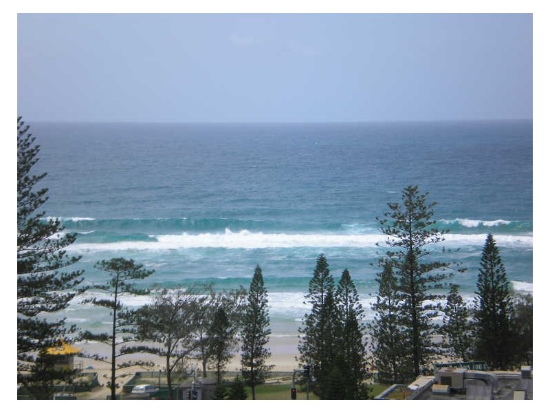 48/36 Orchid Avenue, Surfers Paradise QLD 4217