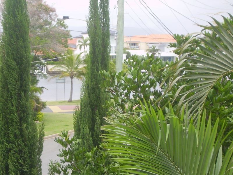 Villa 1/49 Palm Avenue, Surfers Paradise QLD 4217