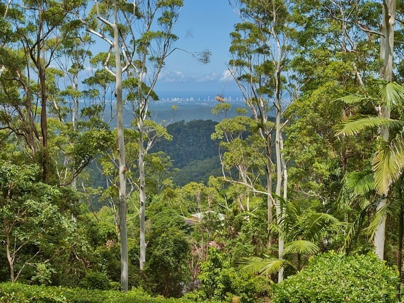 55 Esme Street, North Tamborine QLD 4272