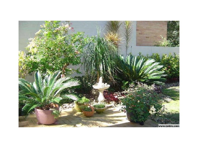 1/8 Vespa Crescent, Surfers Paradise QLD 4217