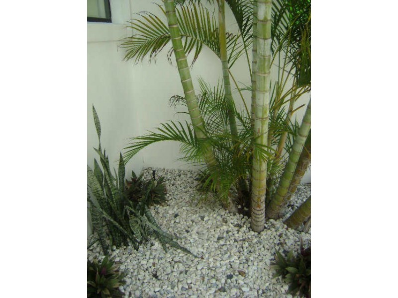 6/3 Elliott Street, Bundall QLD 4217