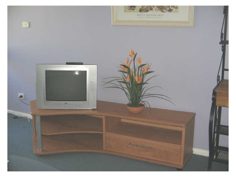 803/40 The Esplanade, Surfers Paradise QLD 4217