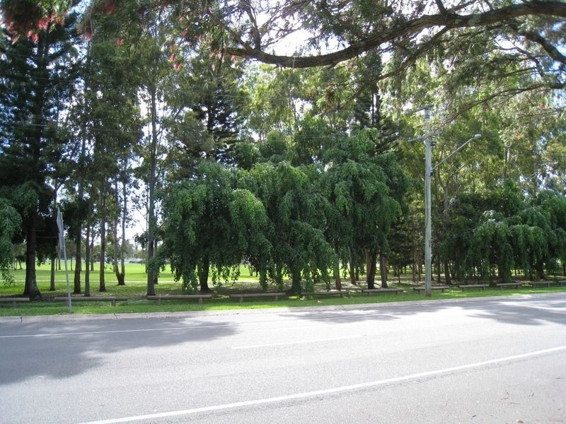 Broadbeach Waters QLD 4218