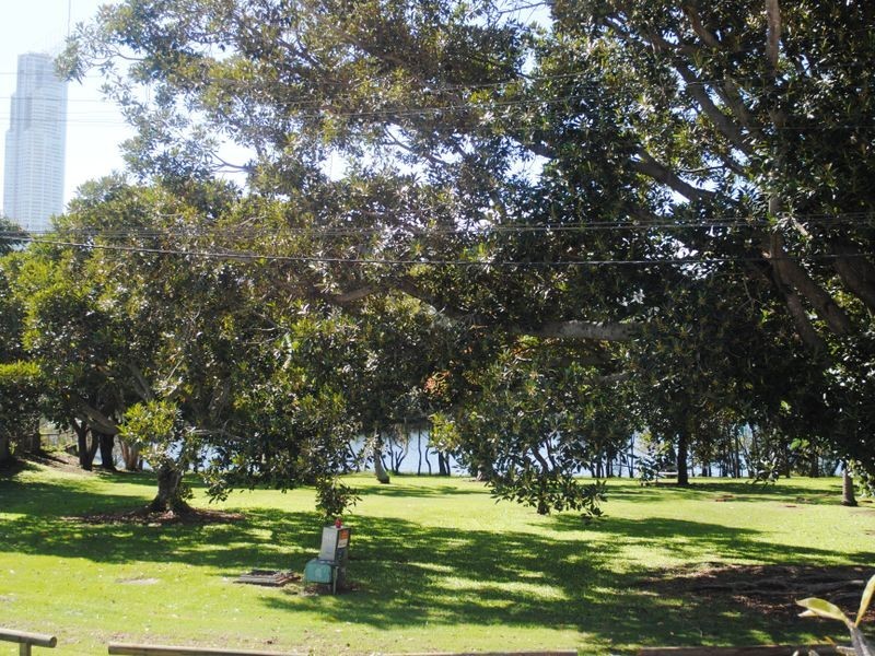 38 Gibraltar Drive, Isle Of Capri QLD 4217