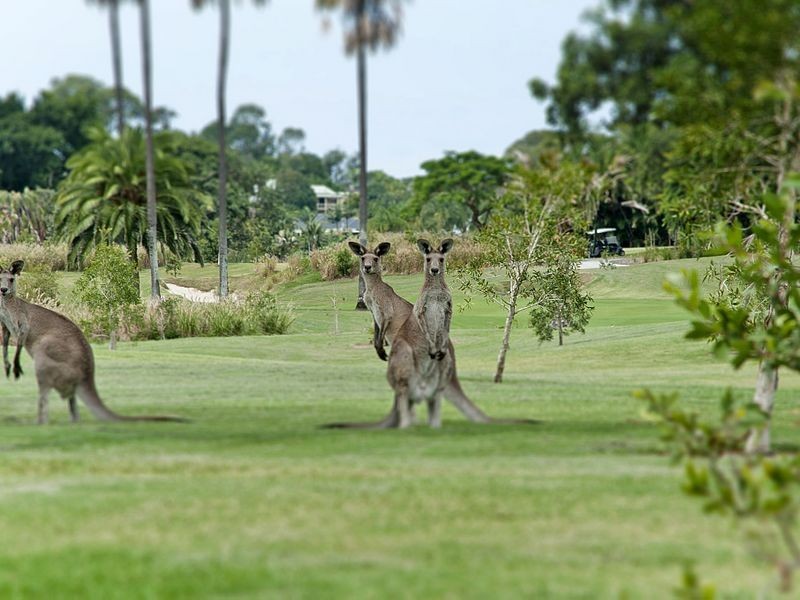 2271 Banksia Lakes Drive, Sanctuary Cove QLD 4212