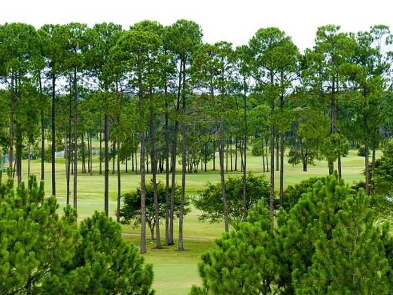 2267 Banksia Lakes Drive, Sanctuary Cove QLD 4212