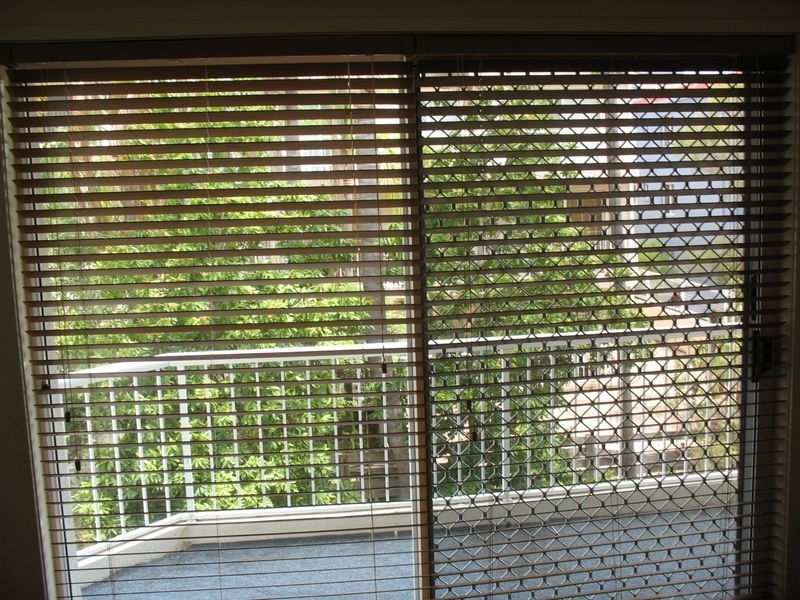 3/44 Britannia Avenue, Broadbeach QLD 4218