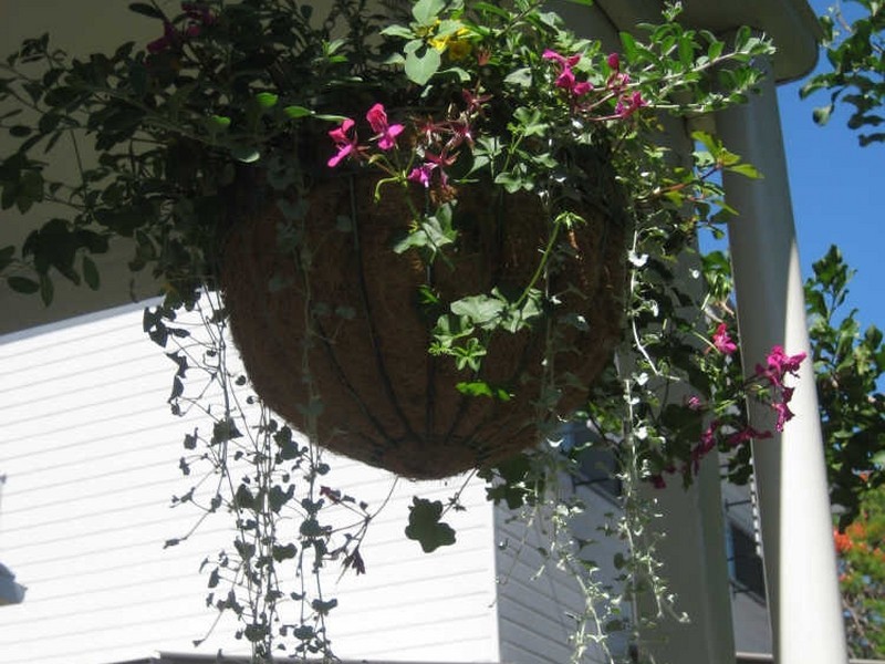 6/58 Kate Street, Morningside QLD 4170