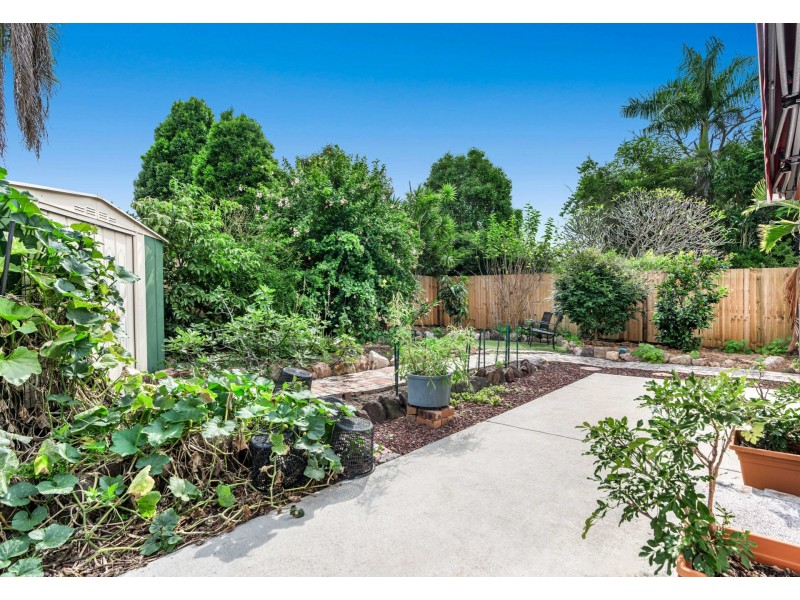 19 Shelley Street, Cannon Hill QLD 4170