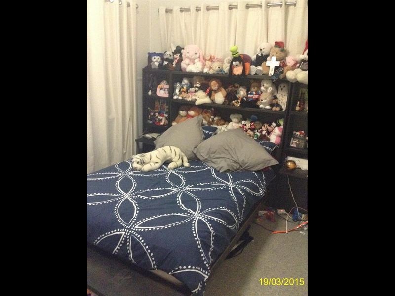 25 Napier St, Murarrie QLD 4172