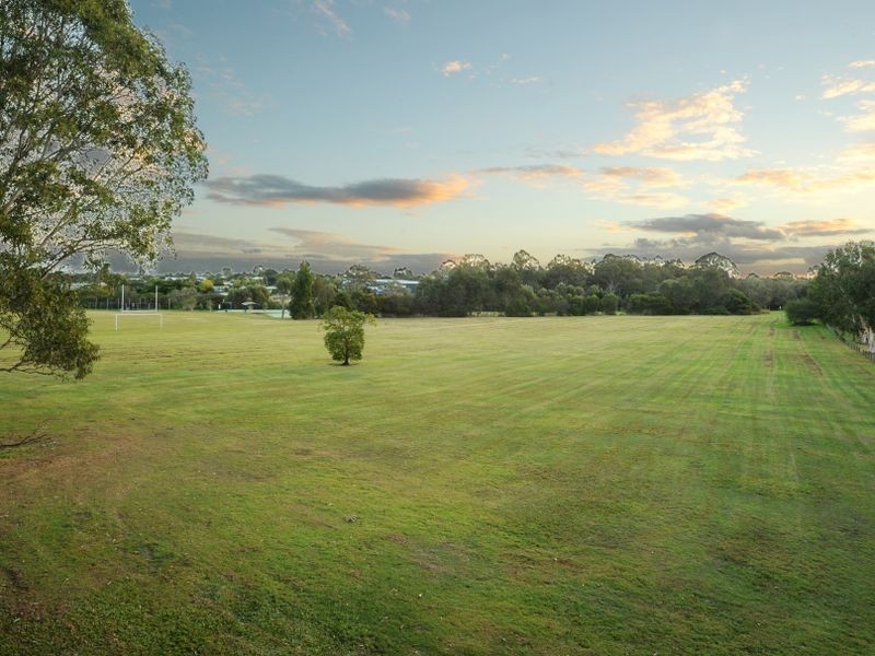 8 Cedar Street, Cannon Hill QLD 4170