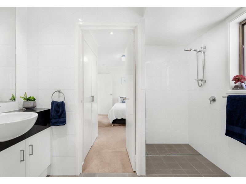 82 Shrapnel Road, Cannon Hill QLD 4170