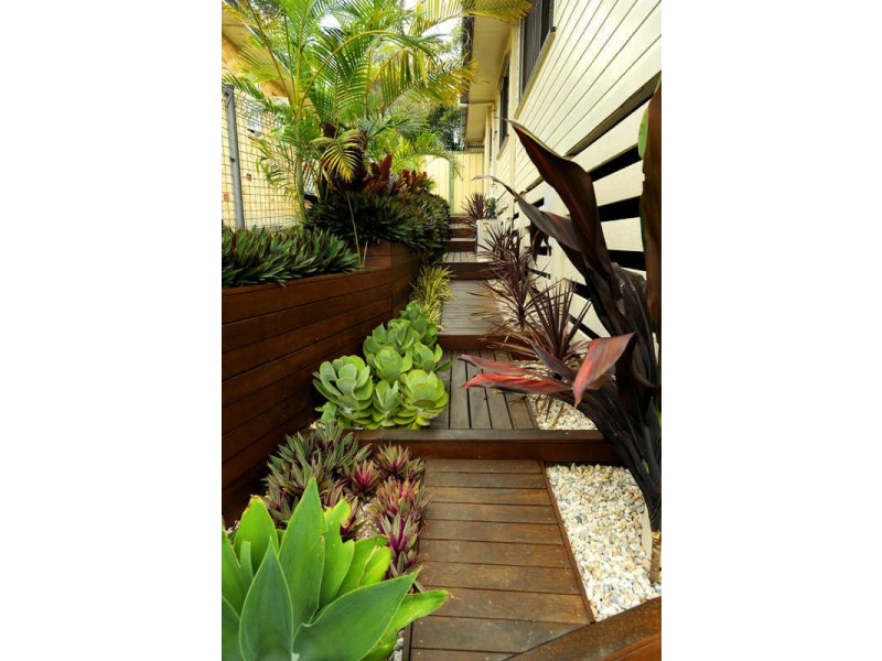 18 Narela Street, Cannon Hill QLD 4170