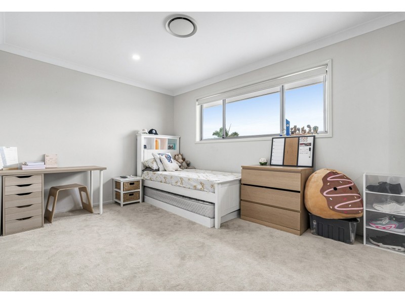 36 Shrapnel Road, Cannon Hill QLD 4170