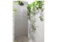 Unit 7/15 Elystan Road, New Farm QLD 4005
