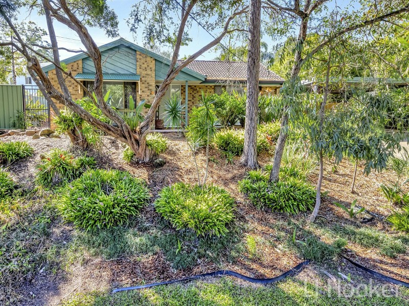 19 Floret Street, Shailer Park QLD 4128