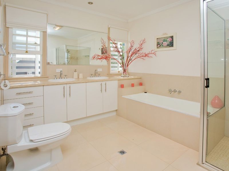 8 Aster Street, Cannon Hill QLD 4170