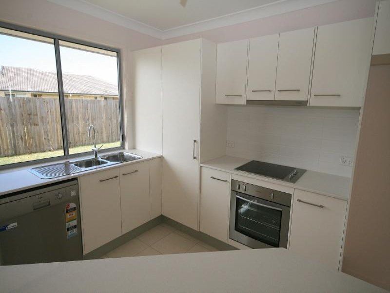 19 Pandanus Street, Tingalpa QLD 4173