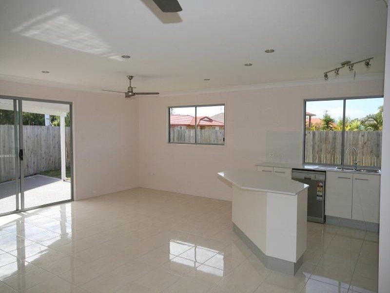 19 Pandanus Street, Tingalpa QLD 4173