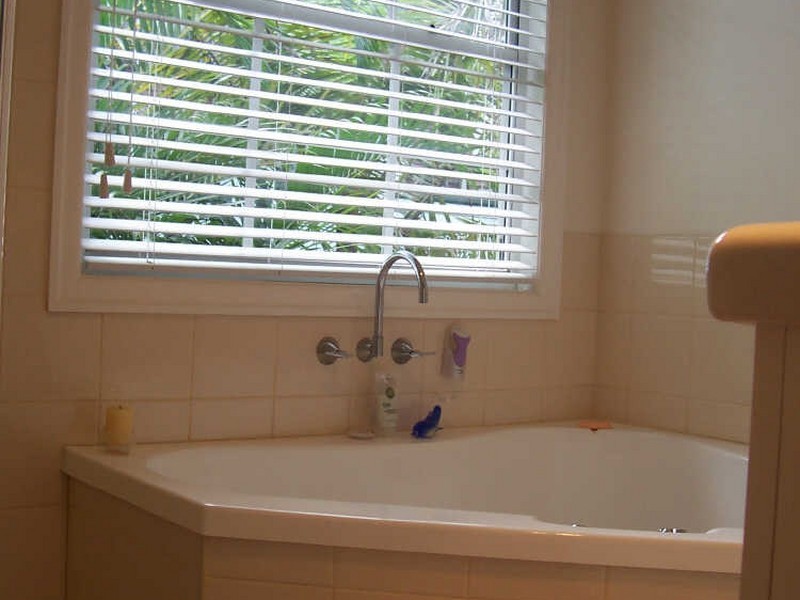 21 Dahlia Street, Cannon Hill QLD 4170