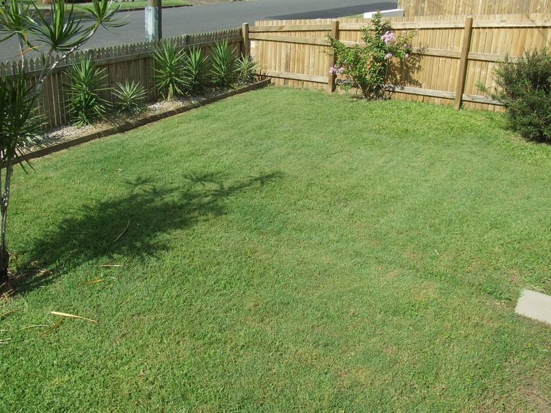 19 Grenade Street, Cannon Hill QLD 4170