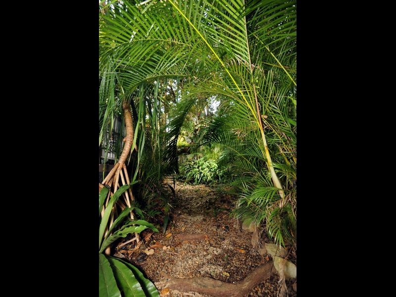 36 Marie Street, Murarrie QLD 4172