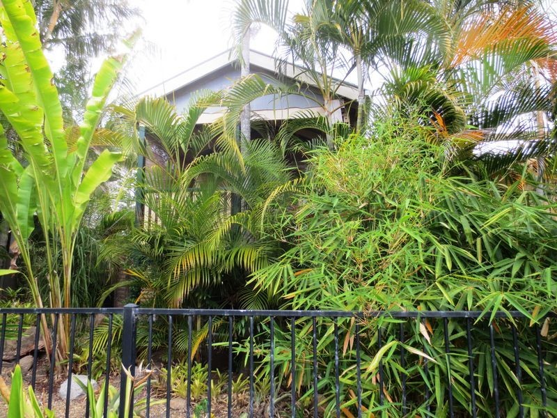 129 Lloyd Street, Alderley QLD 4051