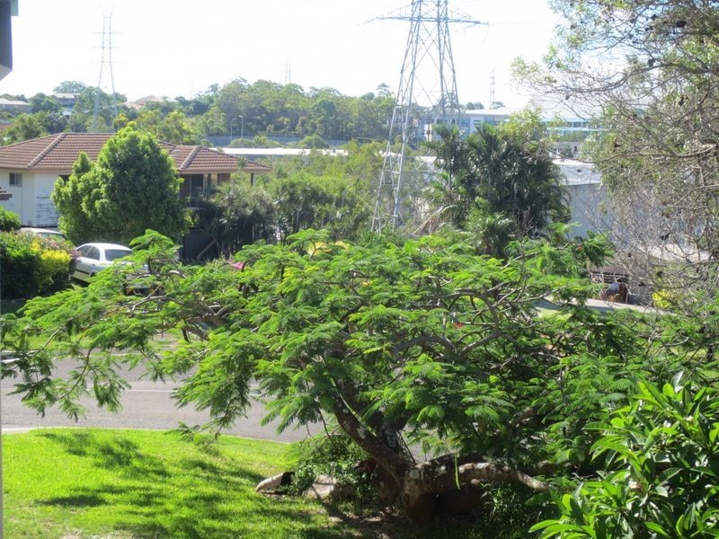 31 Ryley Street, Murarrie QLD 4172