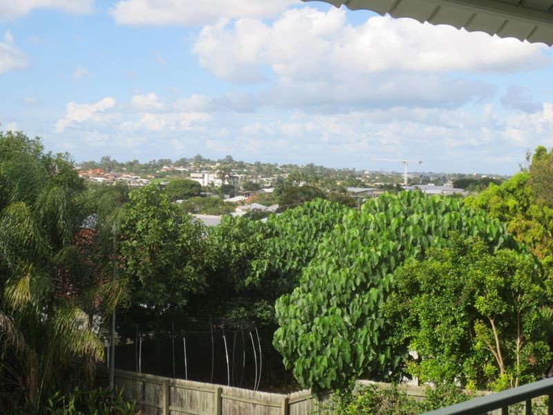 50 Erica Street, Cannon Hill QLD 4170