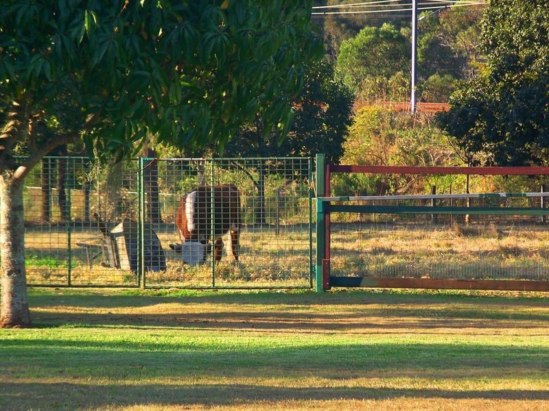 15 Grove Road, Holmview QLD 4207