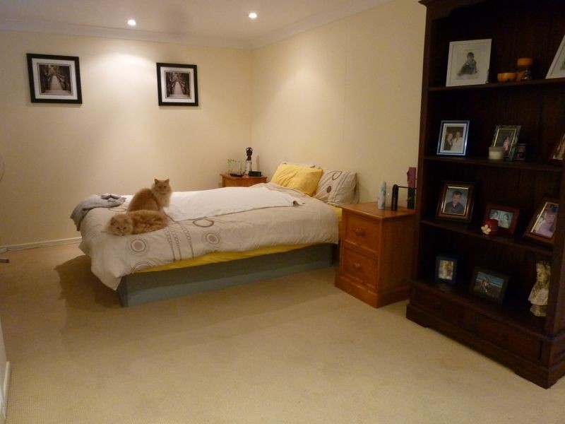 43 Edge Street, Murarrie QLD 4172