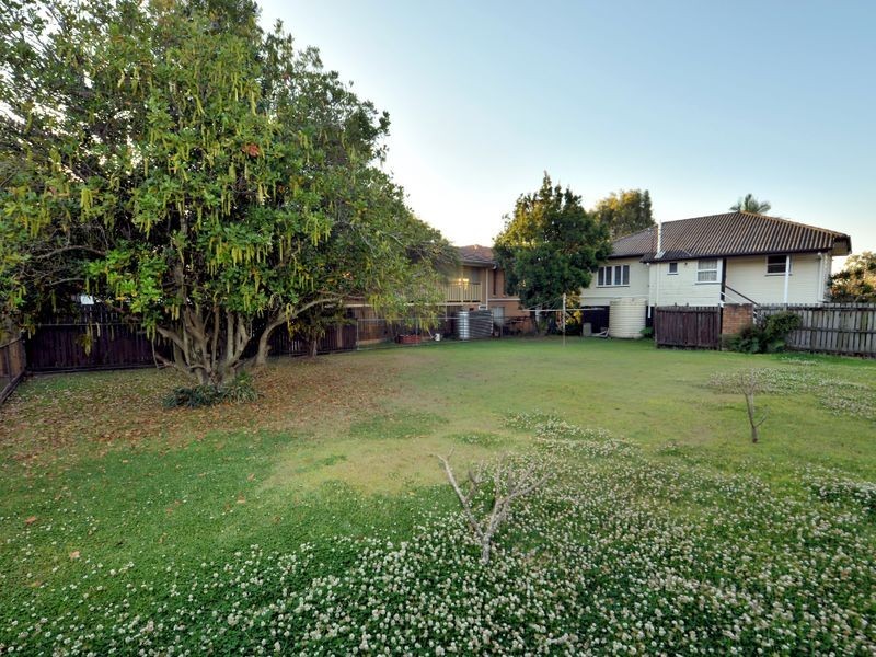 73 Aster Street, Cannon Hill QLD 4170