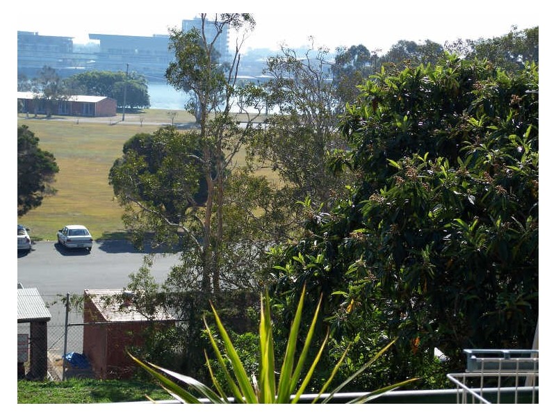 16 Carbeen Street, Bulimba QLD 4171