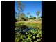 7-11 Veronica Court, Buccan QLD 4207