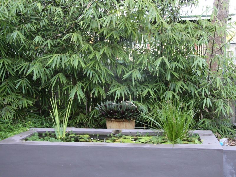 29 Dickson Street, Morningside QLD 4170