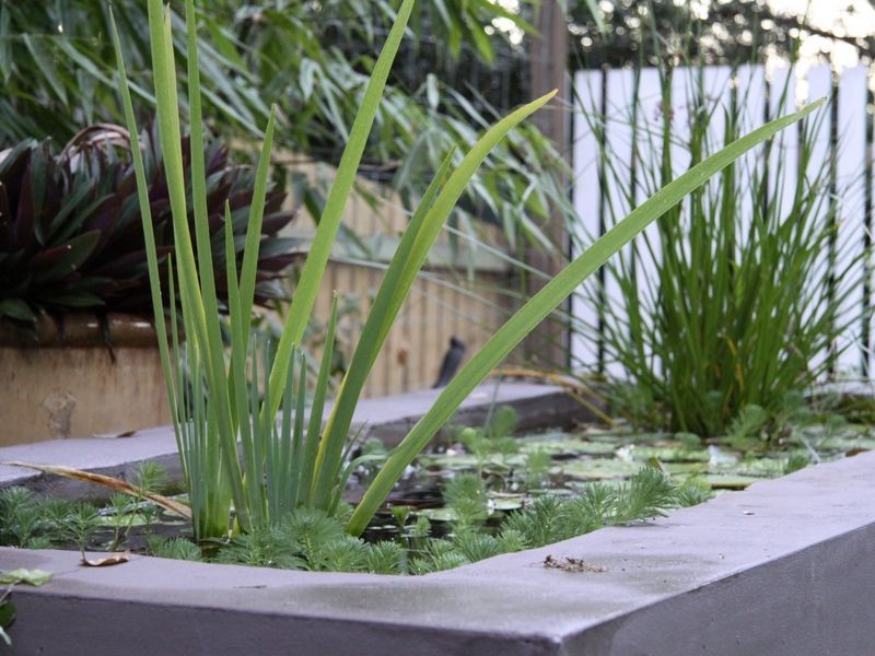 29 Dickson Street, Morningside QLD 4170