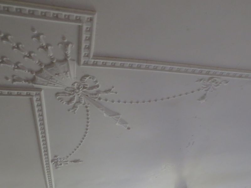 29 Andrews Street, Cannon Hill QLD 4170