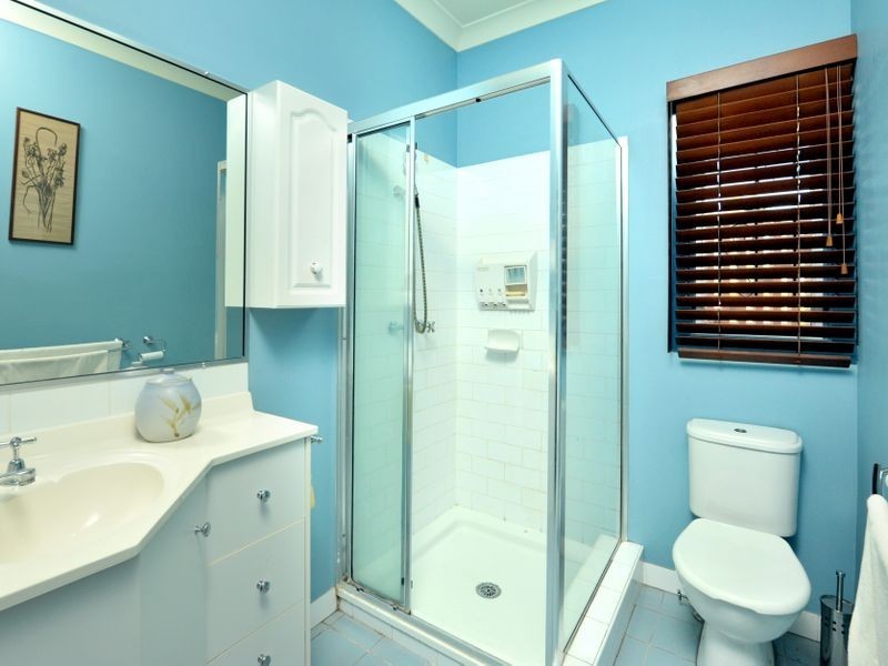 117 Dahlia Street, Cannon Hill QLD 4170