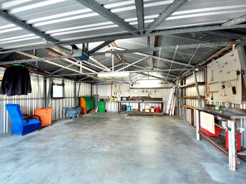 117 Dahlia Street, Cannon Hill QLD 4170