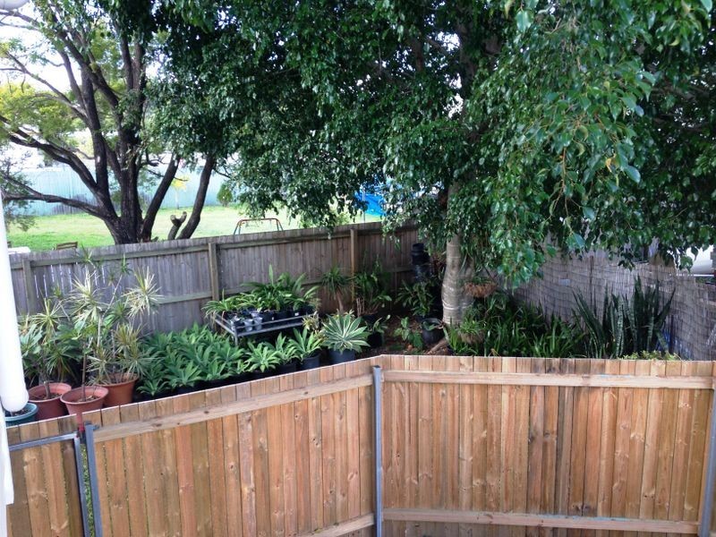 125 Armstrong Road, Cannon Hill QLD 4170