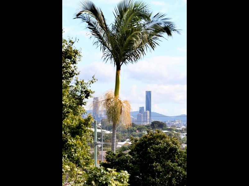 19 Edge Street, Murarrie QLD 4172