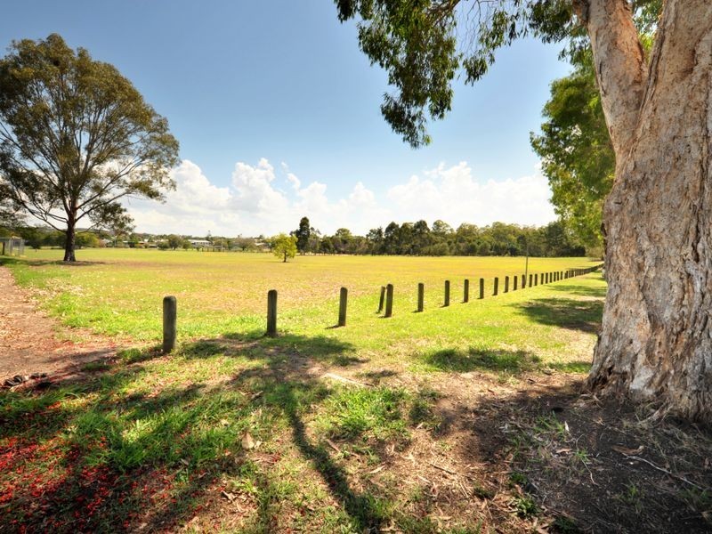 6 Cedar Street, Cannon Hill QLD 4170