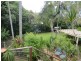 Cannon Hill QLD 4170