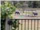 12 Vera Place, Tingalpa QLD 4173