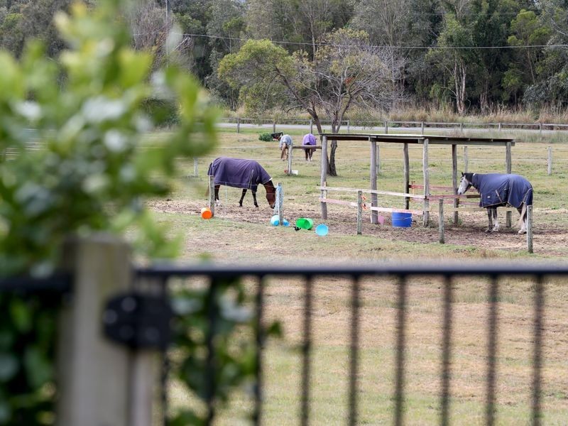12 Vera Place, Tingalpa QLD 4173