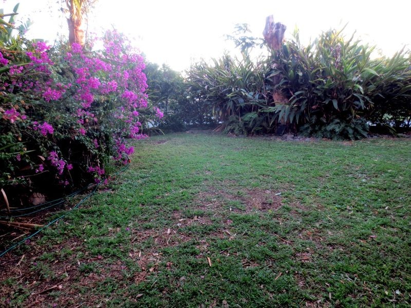 1 Tamba Street, Murarrie QLD 4172